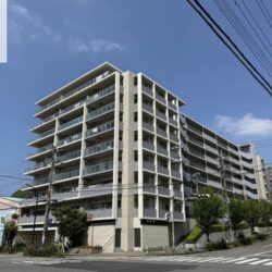 ネバーランド朝霧